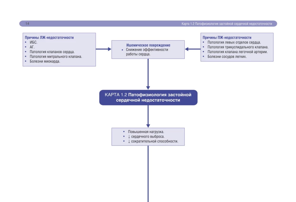 Medical Mind Maps. An Easy Way to Remember Symptoms, Diagnosis, and Treatment Principles